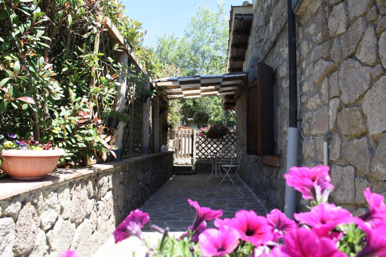 Agriturismo Biagiotti 阿巴迪亚·圣萨尔瓦多 外观 照片